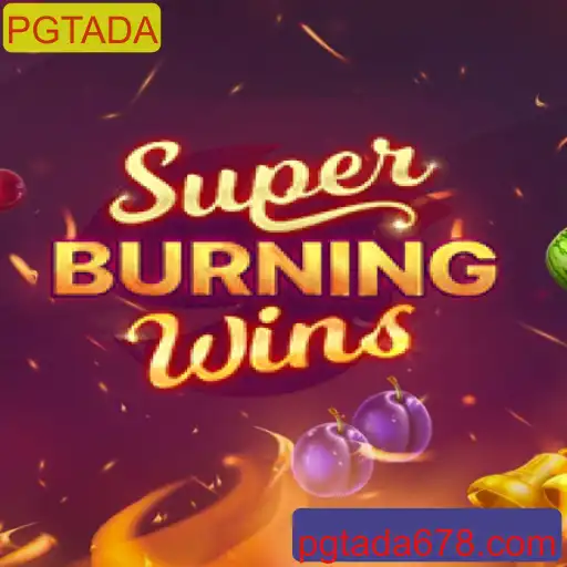 Explorando o Mundo de SuperBurningWins: Um Guia Completo do Jogo